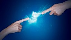 Интересни факти за докосването