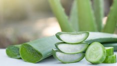 Защо гелът от алое вера е истинско чудо на природата 