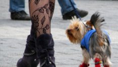 Жената е жена само с рокля и пола