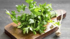 Фантастични ползи за здравето от магданоза 