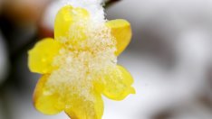 Зимни рецепти за щастие