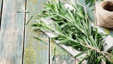 Топ 10 на най-лековитите подправки 