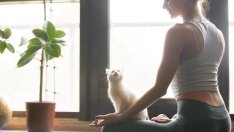 Подредба на помещението за тренировка според фъншуй 