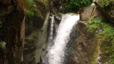 Библейски аспекти на екологията