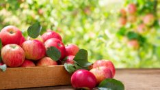 До какво води преяждането с някои храни