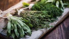 6 билки за добро храносмилане