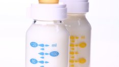 Алтернативни употреби на кърмата