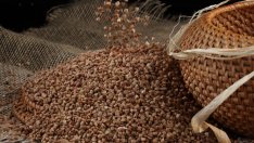 3-те най-здравословни семена