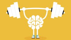 6 важни за мозъка витамини и минерали 