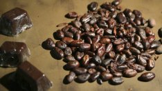 За какво са полезни какаовите зърна?