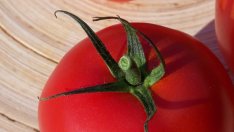 Домати за вечно млада кожа