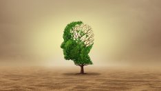 7 съвета да поддържате мозъка в кондиция