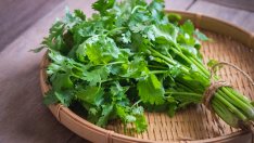 5-те най-добри билки за детокс