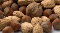 Орехи и бадеми пазят мозъка от стареене