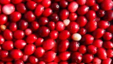 Боровинков сок пази децата от уринарни инфекции