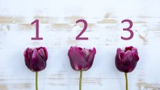 Тест: Каква е вътрешната ви красота?