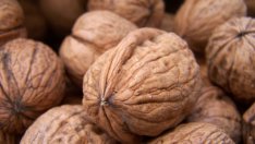 Орехова отвара почиства зъбния камък