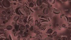 Няколко начина да поддържаме добри нива на холестерола