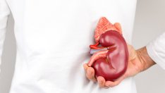 Тревожни симптоми на бъбречни увреждания