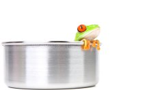 Как синдромът на сварената жаба съсипва живота ни