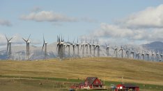 Идеи за екологичен дом