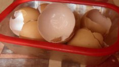 Какво да правим яйчените черупки?