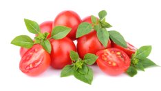 Растения, подпомагащи растежа на други растения