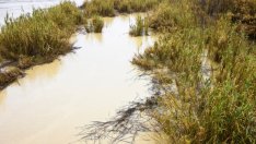 Притча за мътната вода