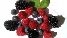 Как да пречистим токсините от тялото