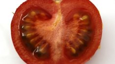 Бърза домашна козметика за сухи колена и лакти