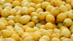 Отслабване според аюрведа с горчиви и лютиви храни