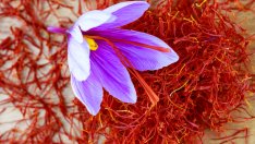 Мощни билки, които потискат апетита и помагат за отслабване 