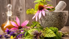 Билки за силен имунитет през есента