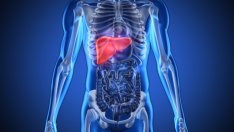 Как да детоксикирате черния дроб