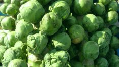 7 невероятно богати източника на фолиева киселина