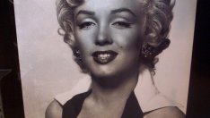 Мисъл на деня