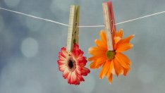 Езикът на цветята в любовта – какво издава един букет?