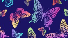 Тест: Изберете карта и вижте каква е вашата женска сила 