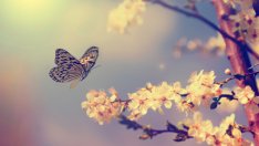 Притча за спомените и пролетта