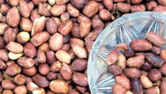 Как да изпечем фъстъци за Нова година?