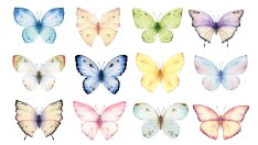 Изберете пеперуда и вижте какъв късмет ви очаква през юни