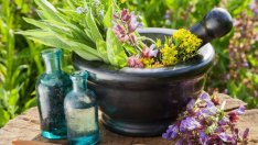 6 мощни билки срещу мигрена