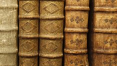 Мисъл на деня