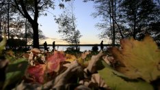 Любовни есенни рими – 23-а част