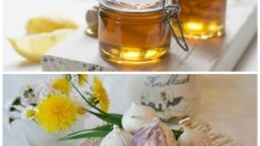 Мед и чесън – най-здравословната комбинация