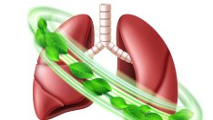 5 билки за респираторното здраве