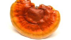 Невероятните ползи от гъбата рейши 