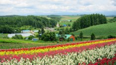 Какво ни казват цветята