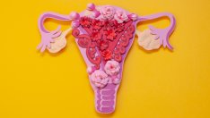 Храни за здрава матка