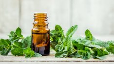 Етерично масло от мента – защо е полезно и как да го използвате